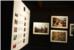 Otvorena fascinatna izložba fotografija Zorana Marinovića /FOTOGALERIJA/