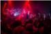 SPEKTAKULARAN KONCERT: Dino Merlin u Revelinu  za pamćenje! /FOTOGALERIJA/