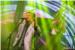 SPEKTAKULARAN KONCERT U REVELINU:  Bregović i Islamović  digli Dubrovčane na noge! /FOTOGALERIJA/