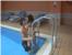 SPA I FITNESS: Zadovoljstvo i samopouzdanje za kvalitetan život /FOTO/