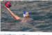 RED BULL SIDRUN: Zgodni  dečki i cure okupirali su staru gradsku  luku! /FOTO/