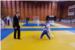 119 NAJMLAĐIH JUDOKA U GOSPINOM POLJU Najsjajniji - JK Župa Dubrovačka (FOTO)
