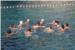 DIVLJA LIGA NA BELLEVUEU Provjerite tko je igrao, a tko navijao na plaži (FOTOGALERIJA)