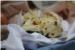 GULOZNA ZAVRŠNICA: Evo  tko  je  sve  uživao  u  slasnim  delicijama  Dubrovačke  trpeze  (FOTOGALERIJA)