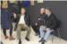 SLOBODA IZRAZA   KAO    PREPOZNATLJIVOST    Otvorena  164. izložba ULIPUD-a  (FOTO)