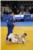 EUROPSKI JUDO KUP U DUBROVNIKU Tko je     sve   odmjerio snage u Gospinom polju (FOTOGALERIJA)