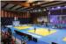 EUROPSKI JUDO KUP U DUBROVNIKU Tko je     sve   odmjerio snage u Gospinom polju (FOTOGALERIJA)