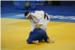 EUROPSKI JUDO KUP U DUBROVNIKU Tko je     sve   odmjerio snage u Gospinom polju (FOTOGALERIJA)