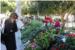U Gružu bogat  izbor cvijeća na   radost brojnih kupaca  (FOTO)