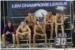 SLAVLJE U GRUŽU Vaterpolisti Juga pobijedili    mađarski   OSC   (FOTOGALERIJA)