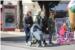 SAVRŠEN DAN ZA ŠETNJU Sunce dovelo sve uzraste u Uvalu Lapad (FOTOGALERIJA)