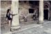 UMJETNOST NA ULICAMA GRADA Baletne scene uljepšale Stradun (FOTO)