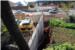 GRAĐEVINSKA ZONA SUMRAKA: Marica Plazonja istjerala Vlahušićeve radnike (FOTO)