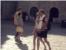 NATPROSJEČNO TOPLO U DUBROVNIKU:  Stradun u znaku lijepih djevojaka, turisti šeću u kupaćim kostimima 