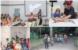  Noć šišmiša:  Istraživači  otkrivaju  ovaj  tajanstveni svijet  na Lokrumu  (FOTO)