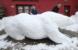 FOTOGRAFIJA DANA: Polarni medvjed od snijega