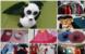 PANDA SHOP U DUBROVNIKU: Velika rasprodaja dječje odjeće /FOTO/