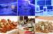 Dubrovnik se može pohvaliti prvim  Ice barom i Korejskim restoranom u Hrvatskoj, pogledajte što vam nude! /FOTOGALERIJA/