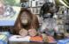 Čista ljubav: Orangutanica i pas dva nerazdvojna prijatelja