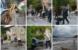 KATASTROFALNA SITUACIJA NA PELJEŠCU: Mještani Trstenika u strahu od novih kiša zavrnuli  rukave /FOTOGALERIJA/