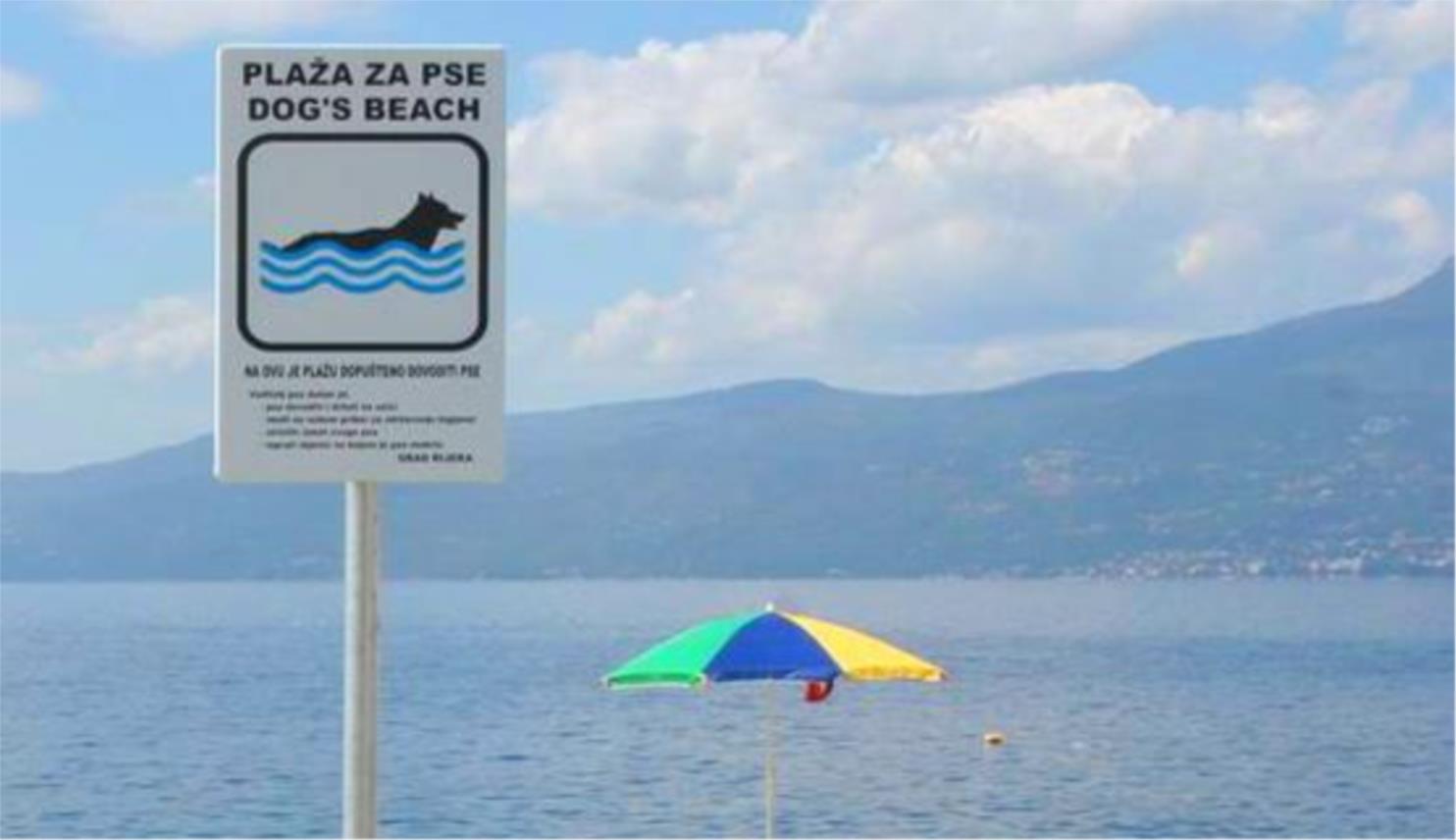 Plaza za pse u Rijeci