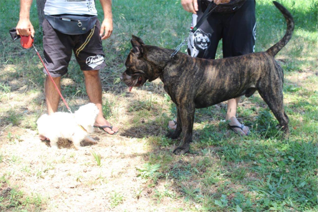 Tito i Billy