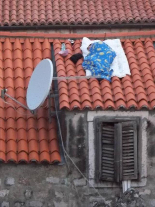 Spavač na krovu-Dubrovnik 0