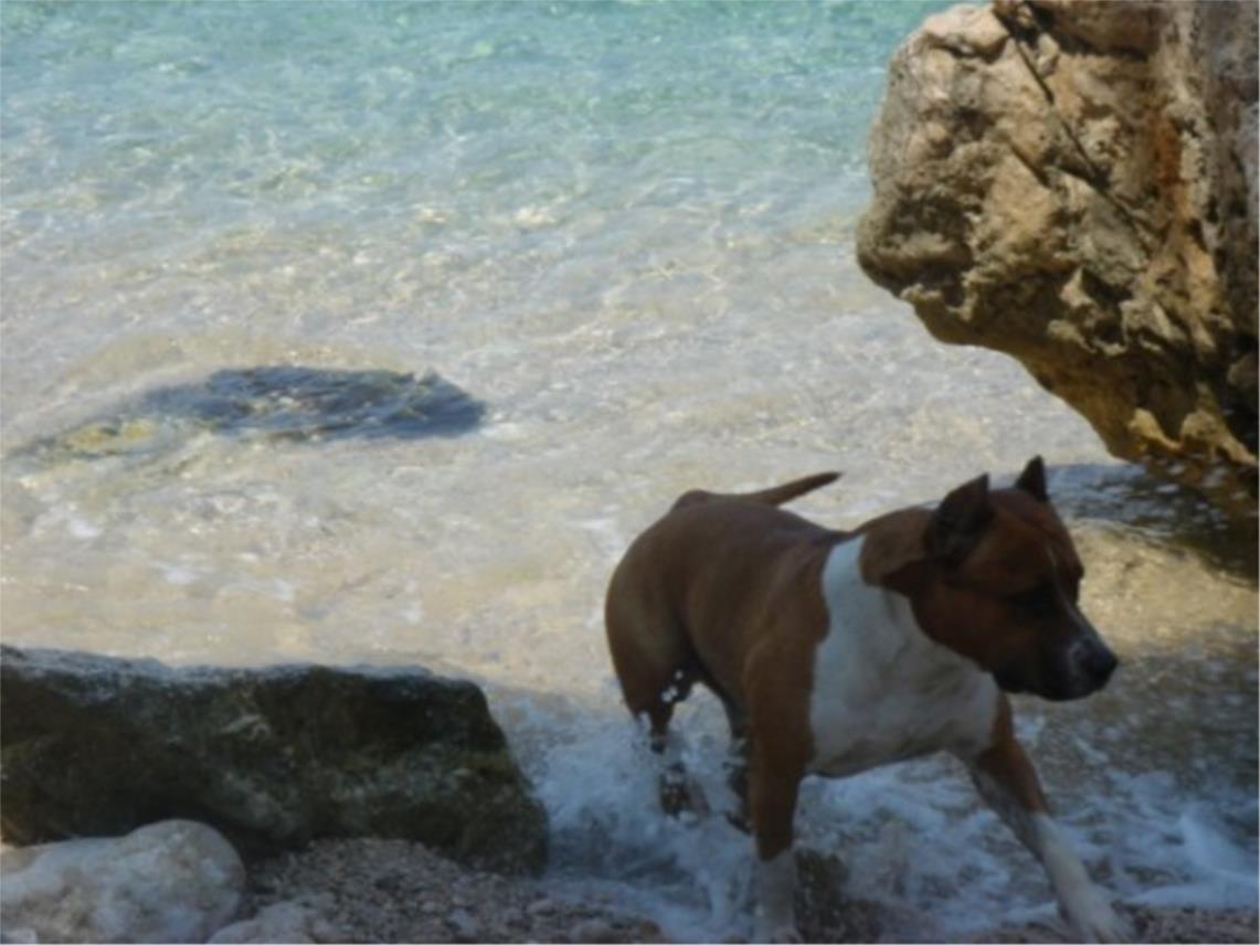 Ares