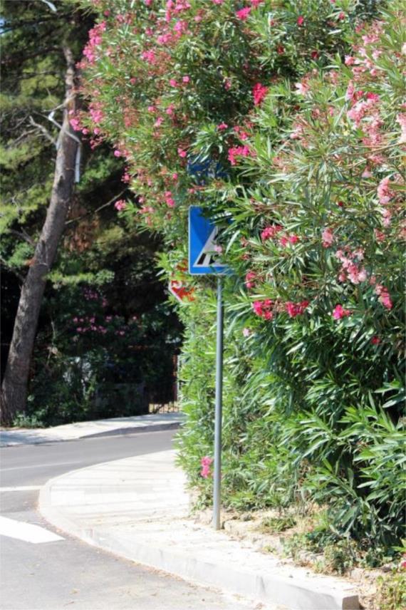 Nevidljivi prometni znak na Batali opasnost je za vozače 0
