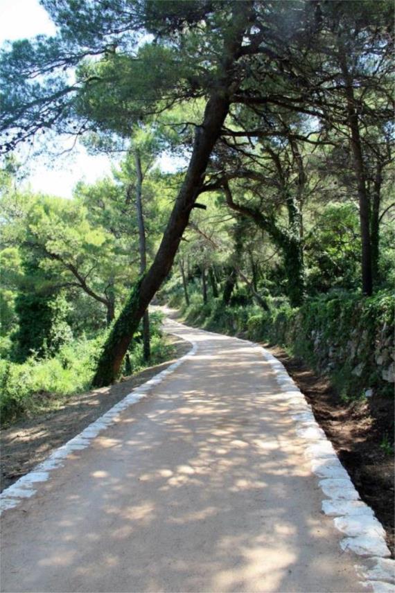 Biciklističko-pješačka ruta na Petki 0