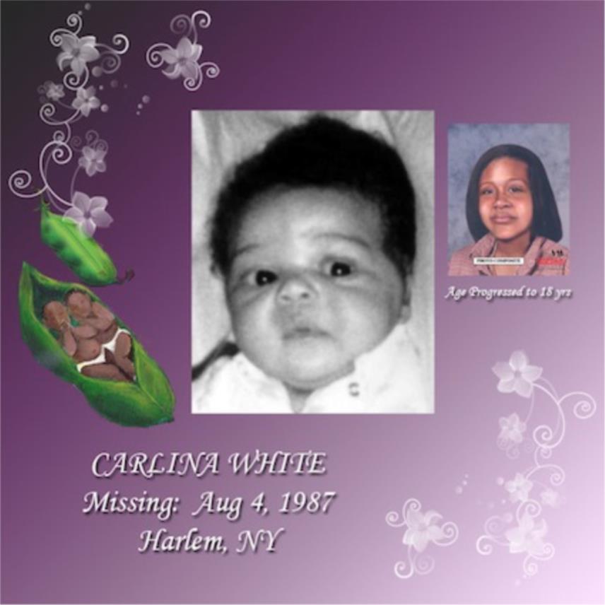 carlina-white-mix-640-jpg.jpg