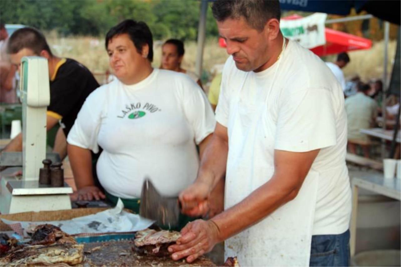 Sidž Slano 2013.  0