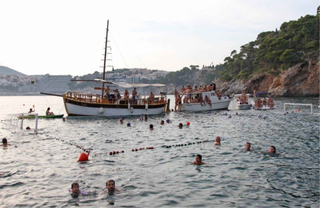 Divlja liga