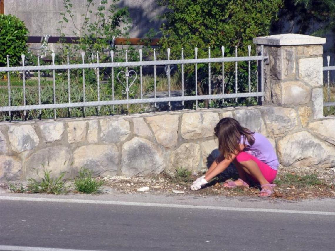 Otkrivanje spomenika Niki Brajiću u Ravnom 0