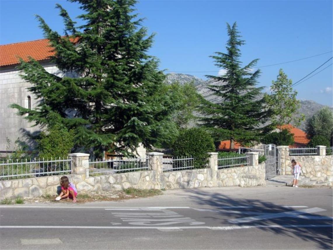 Otkrivanje spomenika Niki Brajiću u Ravnom 0