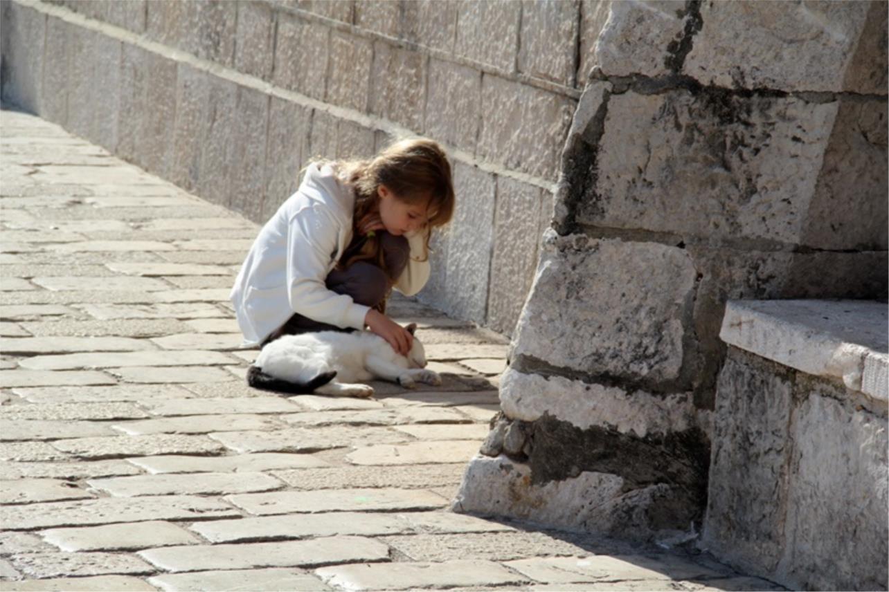 Stradun