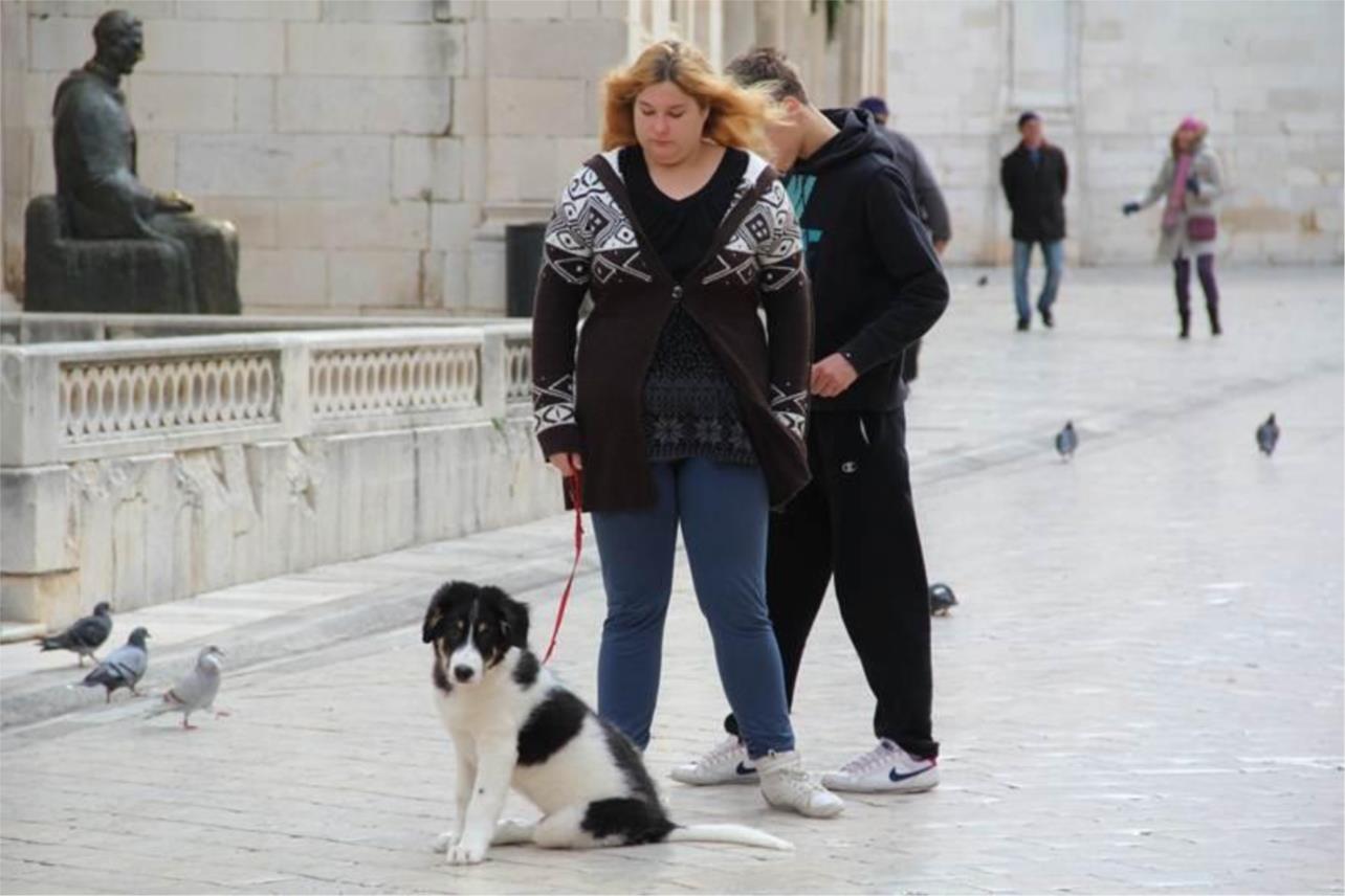 Stradun 0