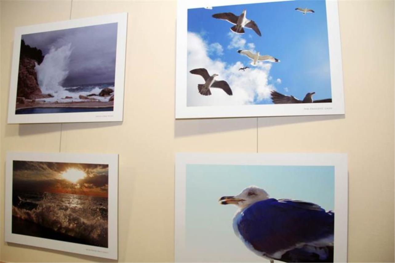 Izložba fotokluba Marin Getaldić 0