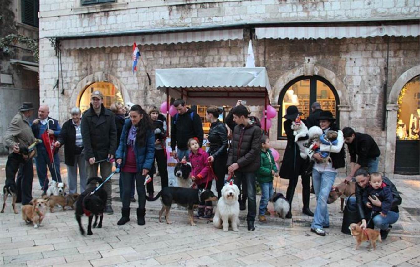 Mimohod šapica sa Žarkovice 0