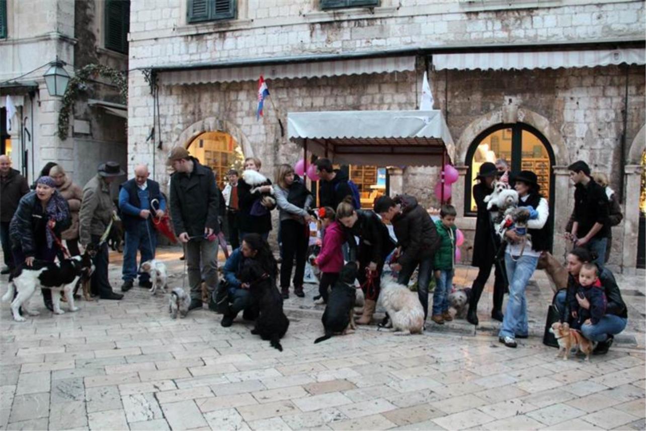 Mimohod šapica sa Žarkovice 0