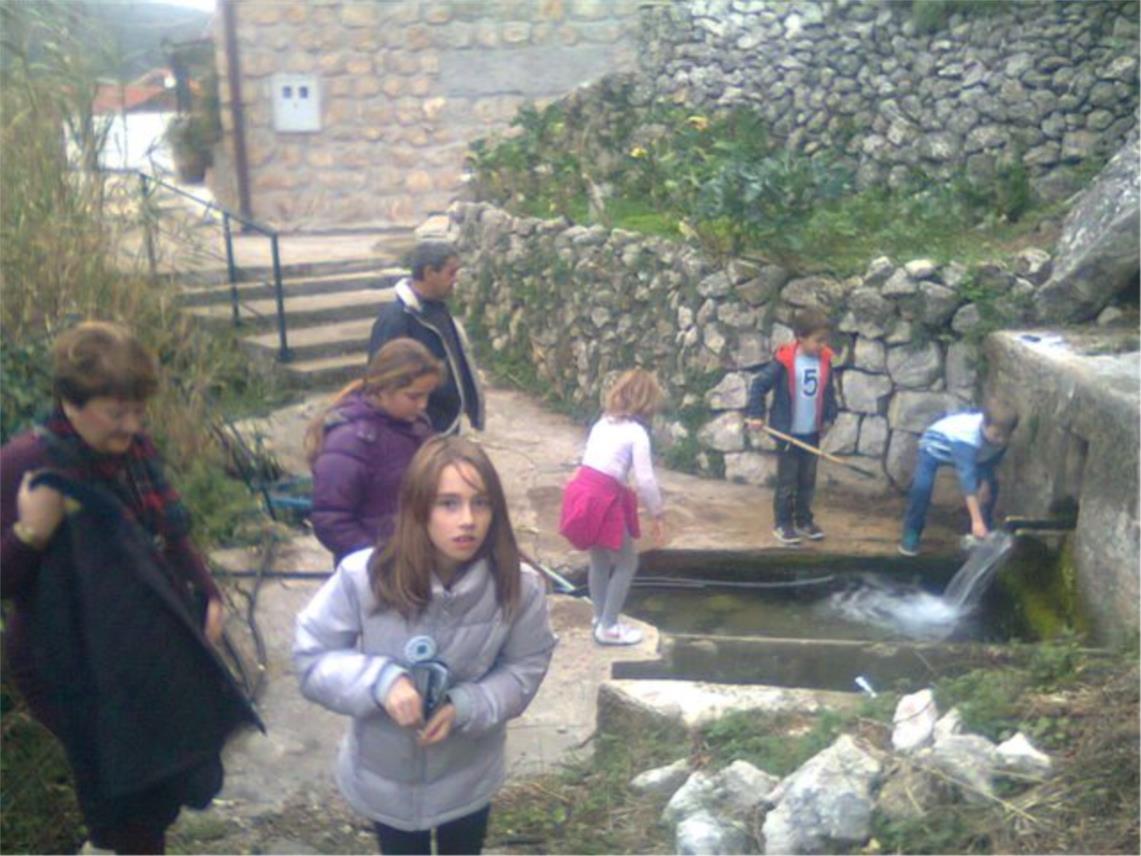 Eko Omblići