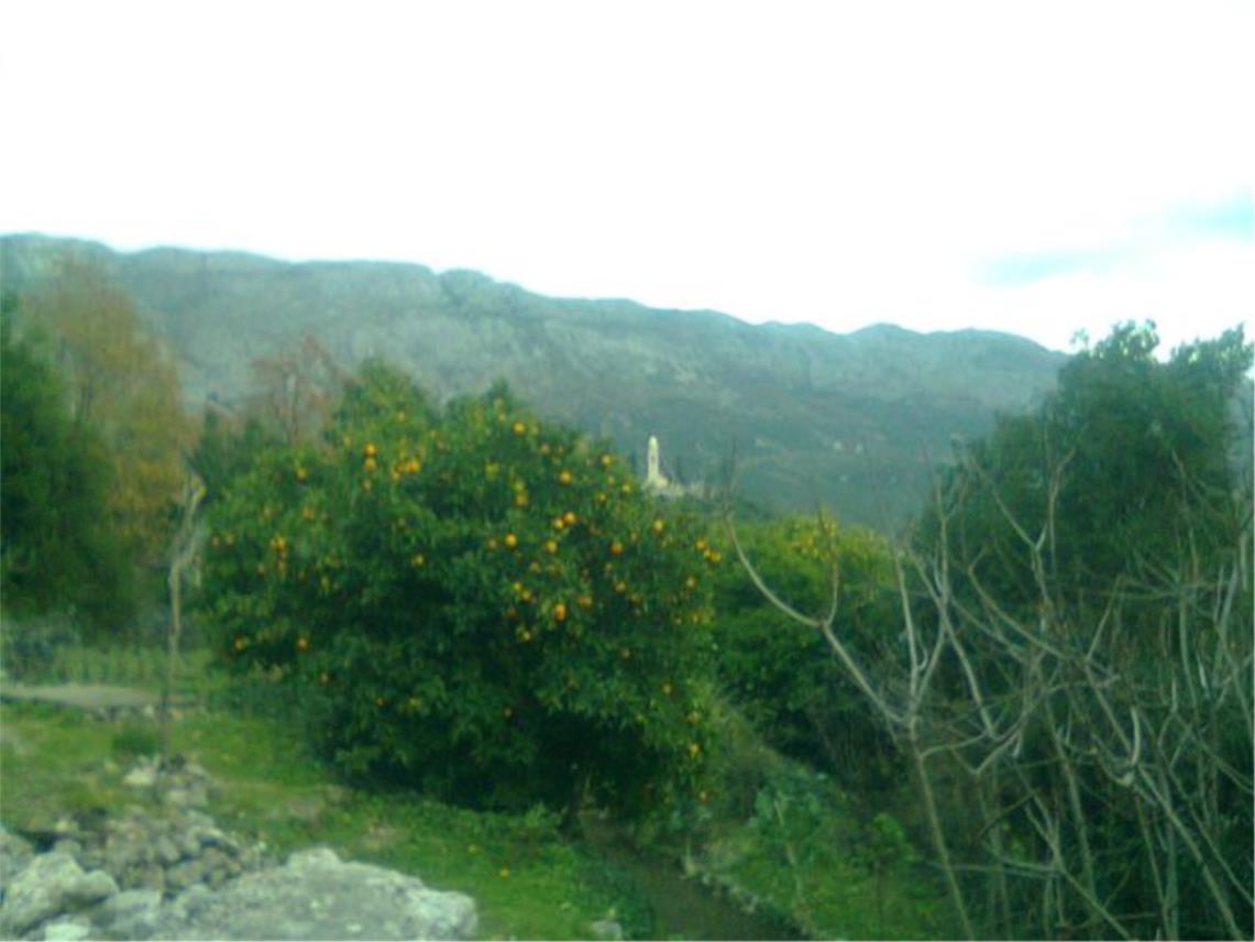 Eko Omblići