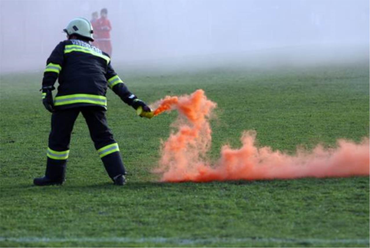 torcida_bakljada8-180211.jpg