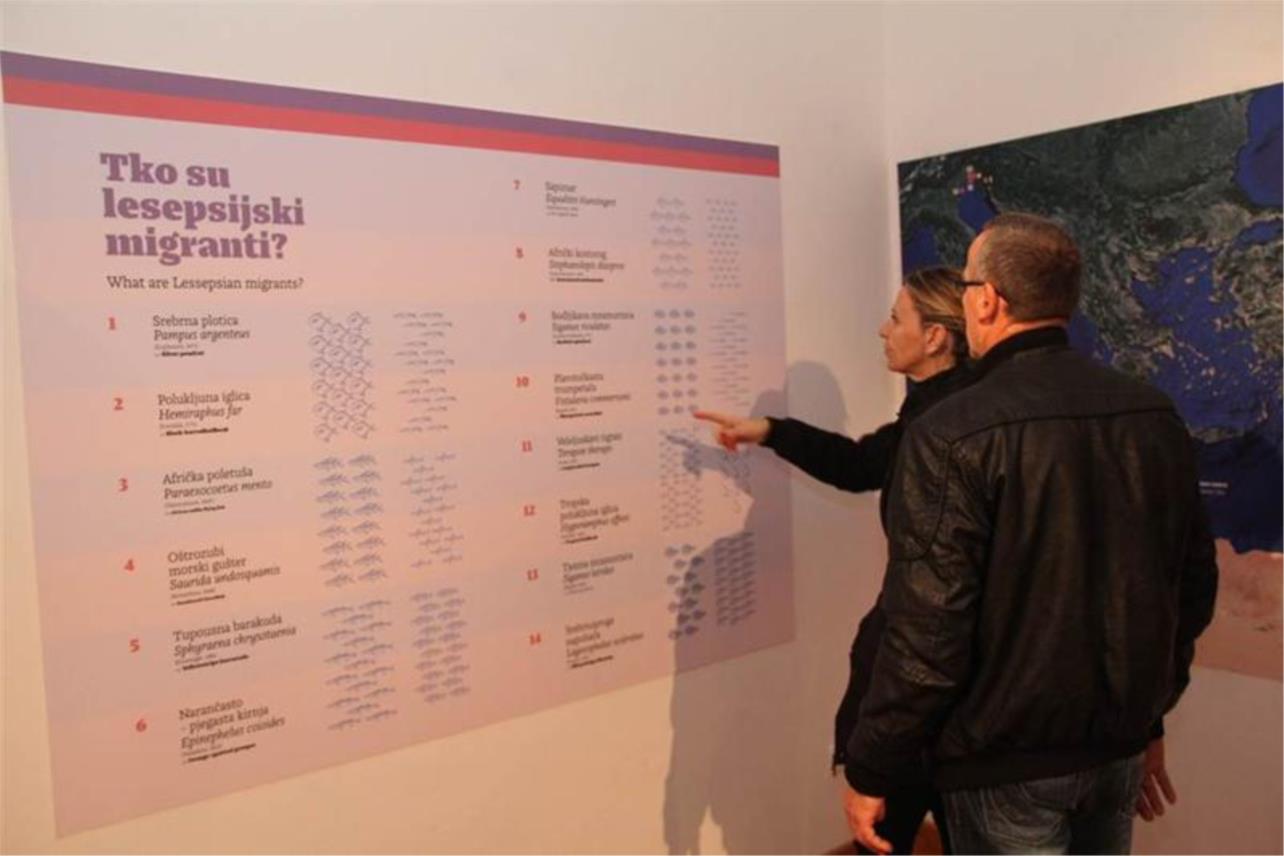 Noc muzeja 2014. 0
