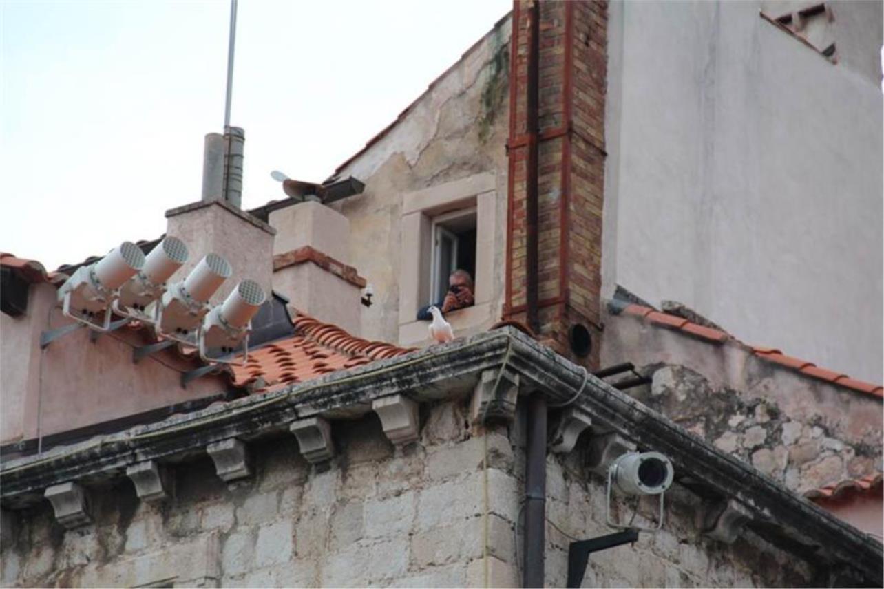 Festa_golubica_Uzinic 0