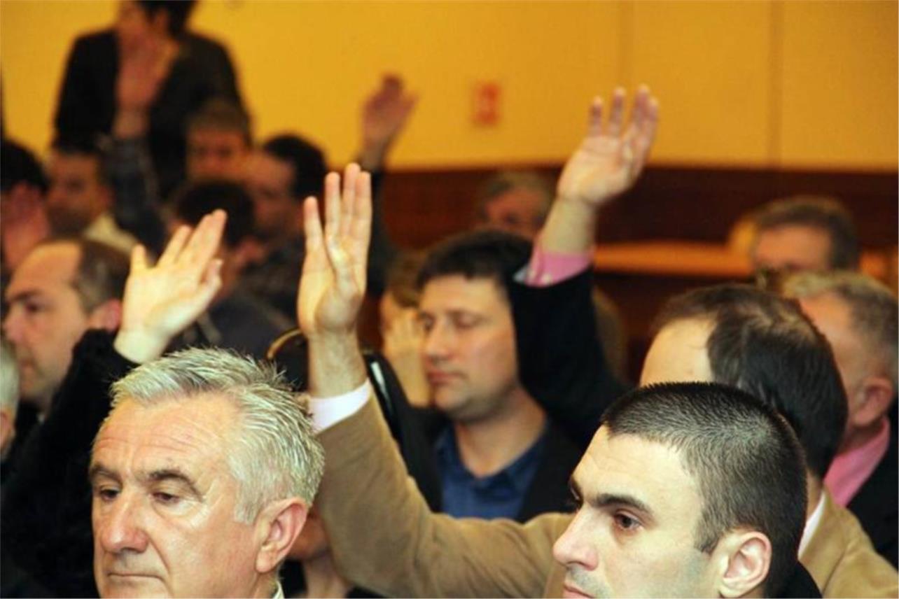 HDZ izvanredna skupština 0