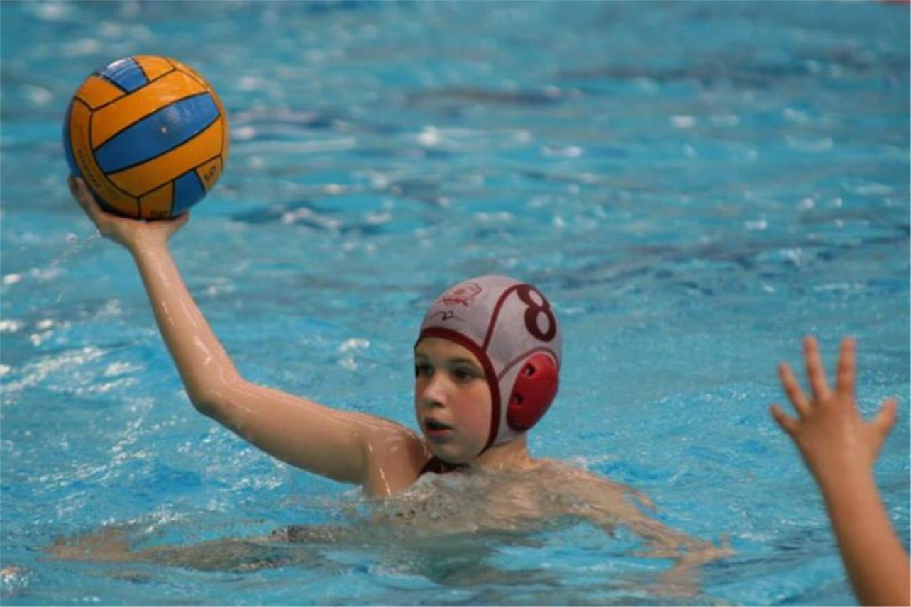 Tomo Udovicic 0