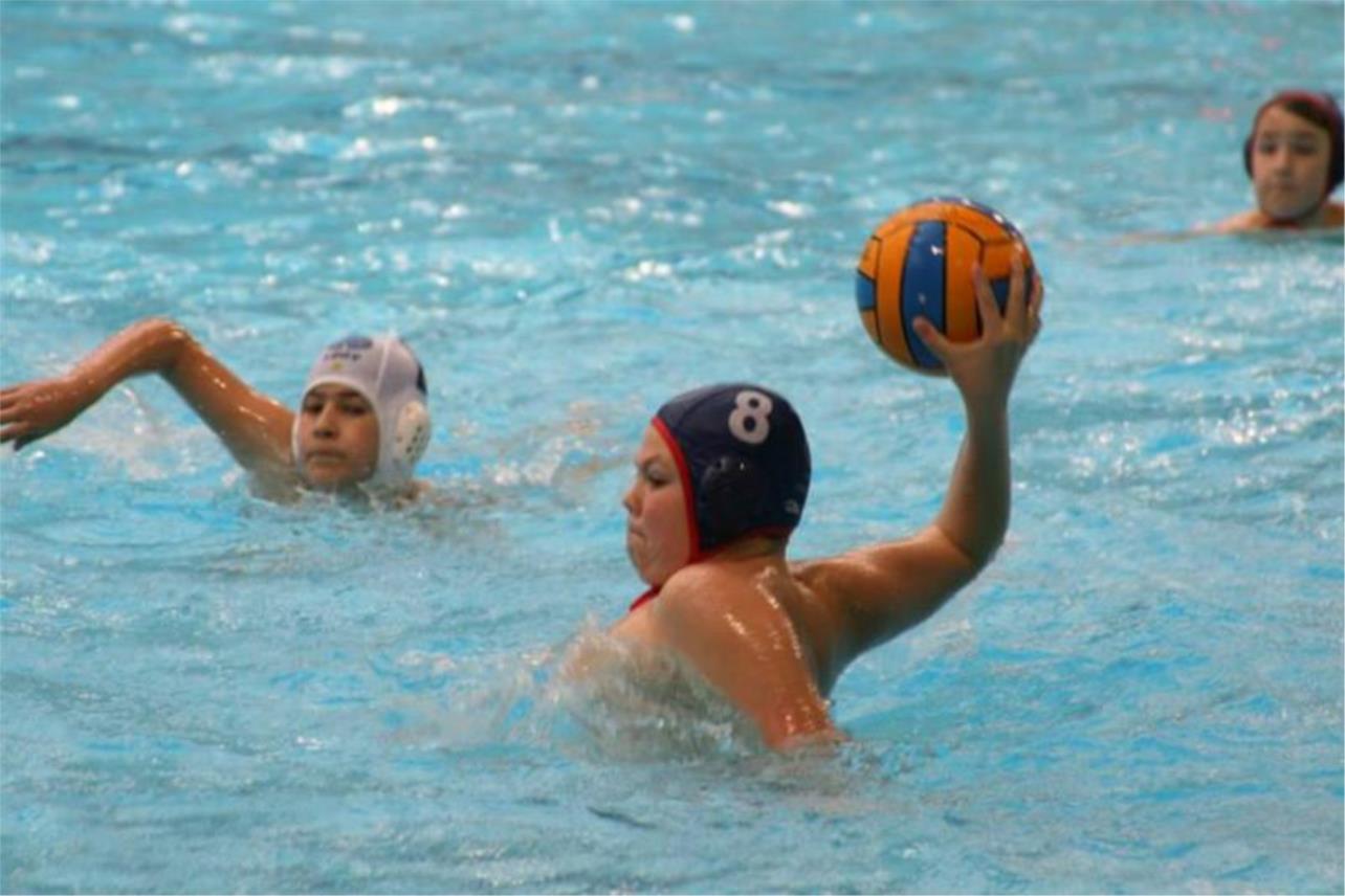 Tomo Udovicic 0