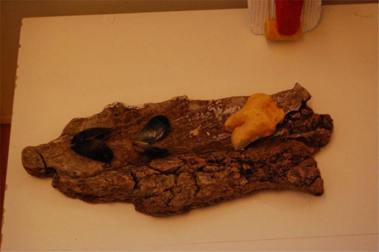 Mljet smece  0