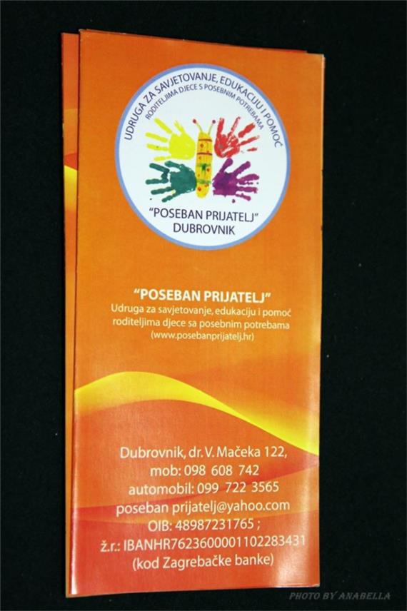 Udruga poseban prijatelj